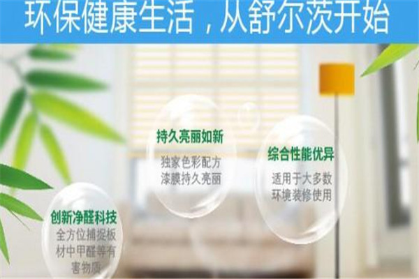 舒尔茨涂料加盟