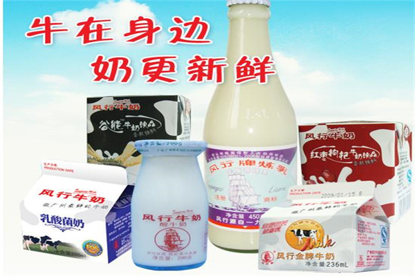 风行牛奶