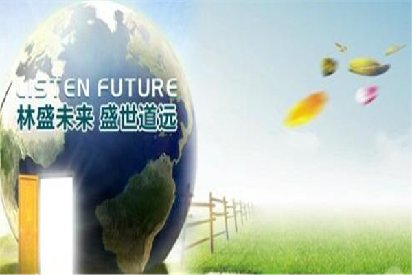 林盛未来木门加盟