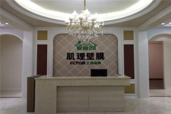 爱丽舍墙艺加盟