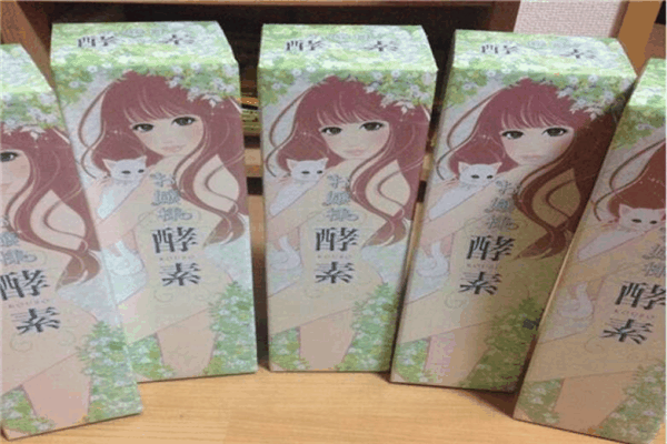 公主酵素加盟