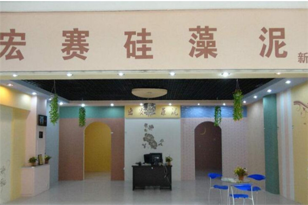 宏赛硅藻泥加盟