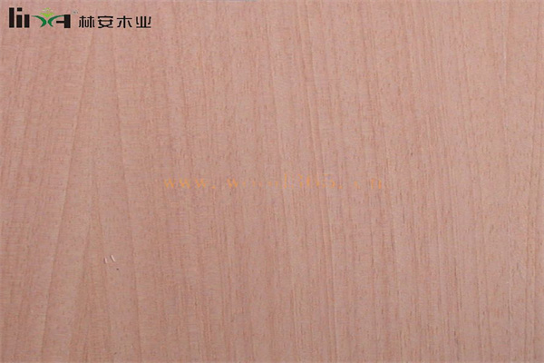 林安木业加盟