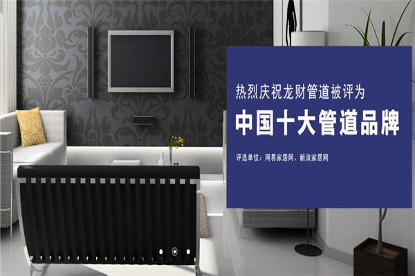 龙财管道加盟