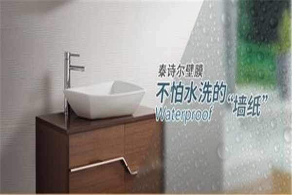 泰诗尔壁膜
