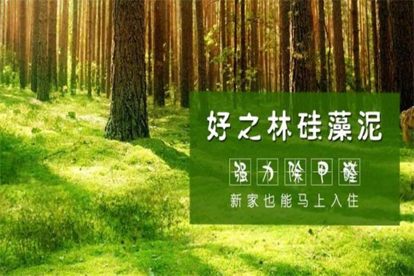 好之林硅藻泥加盟