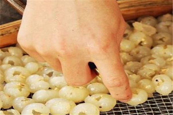 桂丰元桂圆