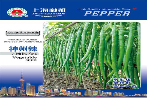 种都种业加盟