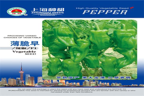 种都种业加盟