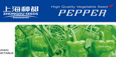 种都种业加盟