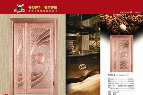 睿祺无锁孔智能遥控防盗门