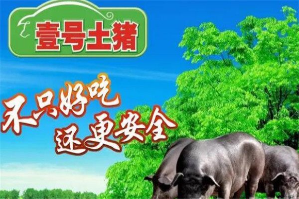 壹号土猪连锁店加盟