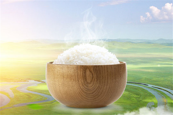 嘉禾米业加盟