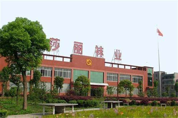 莎丽袜业加盟
