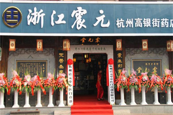 震元医药加盟