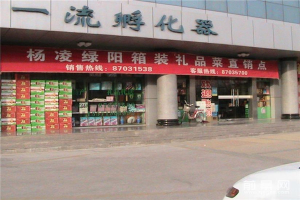 杨凌绿阳礼品菜加盟