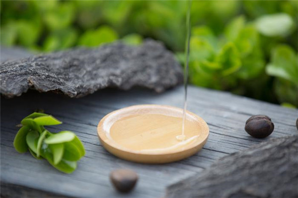龙腾油茶籽油加盟