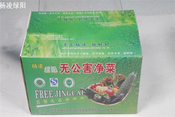 杨凌绿阳礼品菜加盟