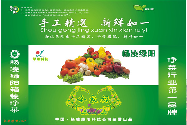 杨凌绿阳礼品菜加盟
