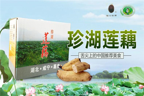 珍湖莲藕加盟