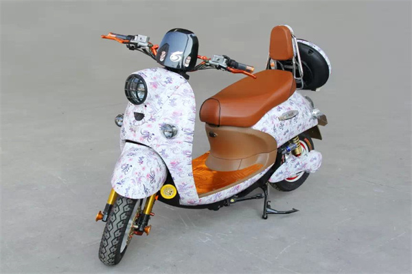 绿安骐电动车