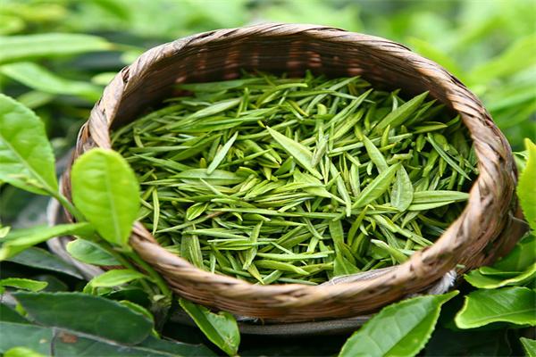 七字诗茶叶
