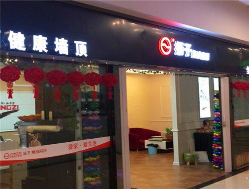 扬子集成墙顶
