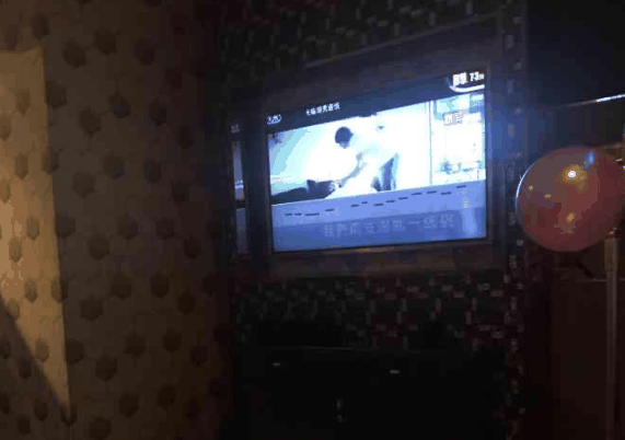 金龟子KTV