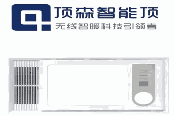 顶森集成吊顶