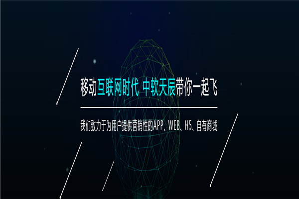 中软天辰
