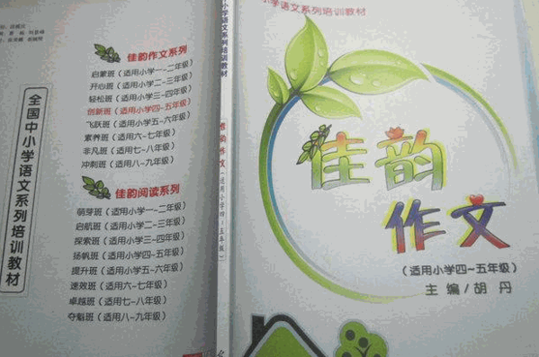 佳韵作文