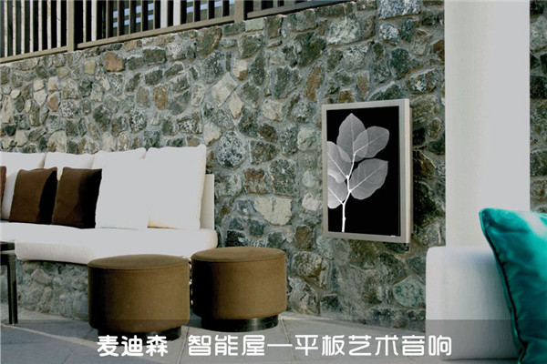 麦迪森平板音响加盟