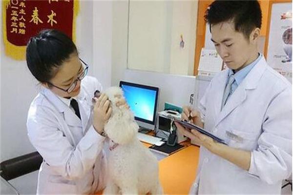 斯嘉宠物诊所加盟