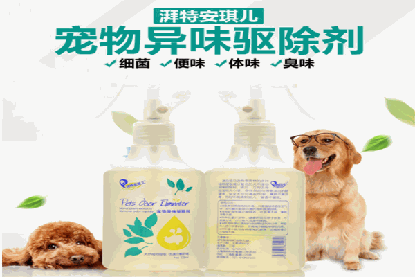 湃特安琪儿