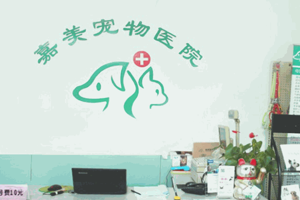 嘉美动物医院