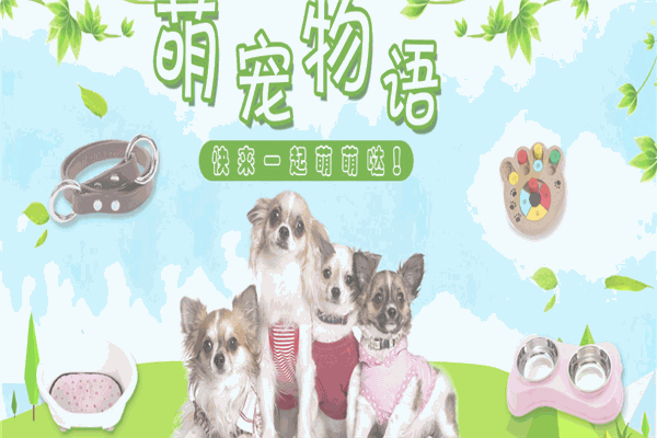 科拉宠物用品