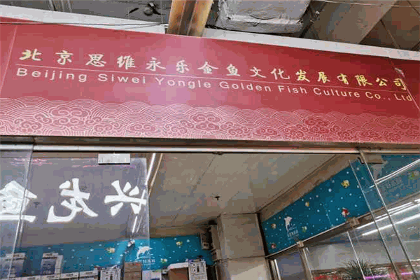 思维永乐金鱼
