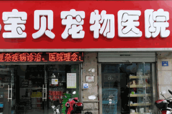 宝贝宠物医院