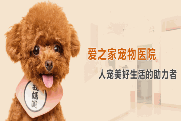爱之家动物医院