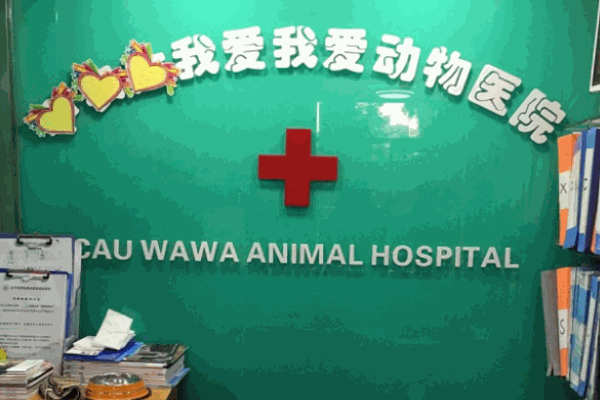我爱我爱宠物医院