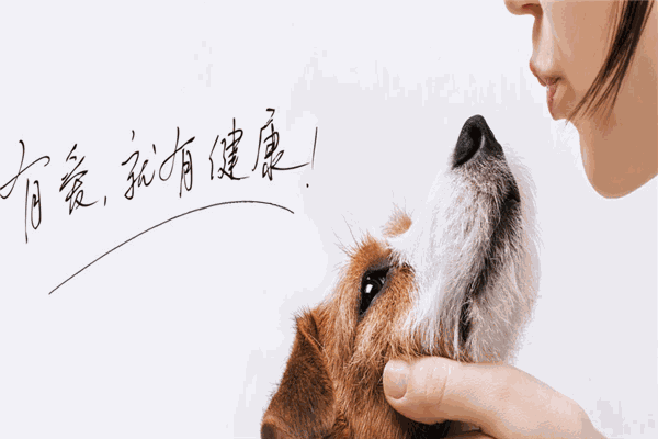 艾贝尔宠物医院