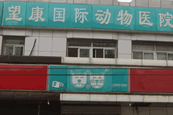 望康动物医院