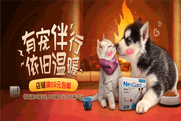 有宠宠物