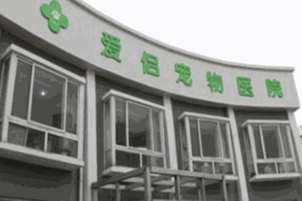 爱侣宠物医院