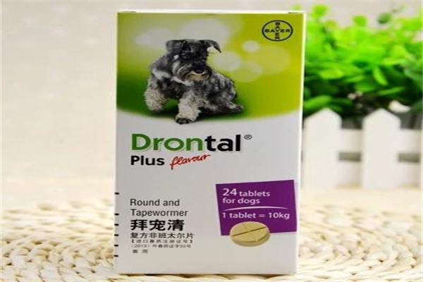 拜宠清加盟