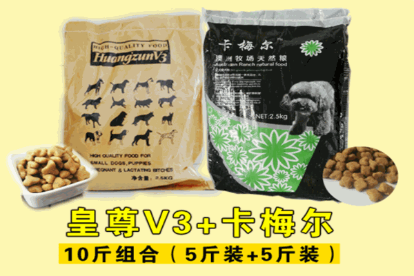 皇尊狗粮