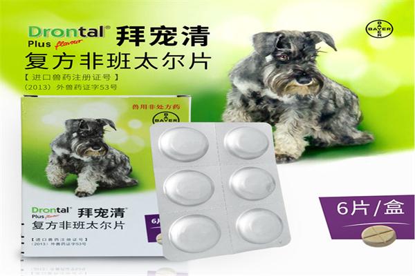 拜宠清加盟