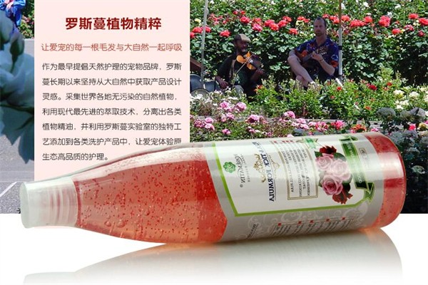 罗斯蔓加盟