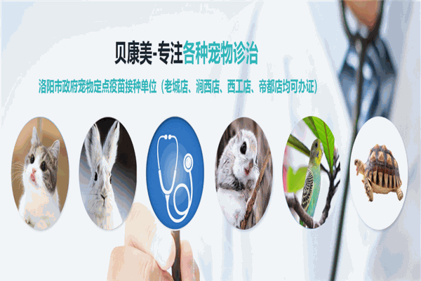 康美宠物医院