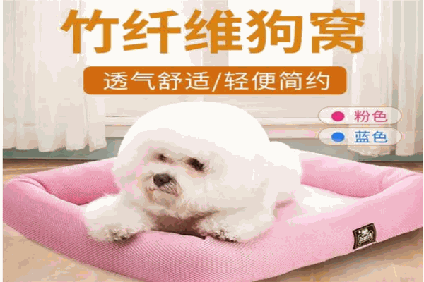 宠友友宠物用品